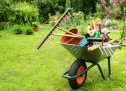 Survey reveals most people find gardening a chore