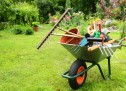 Survey reveals most people find gardening a chore Survey reveals most people find gardening a chore