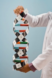 Man holding paper DNA model