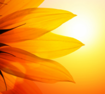 British Summertime Begins! – How should your marketing change? British Summertime Begins! – How should your marketing change?